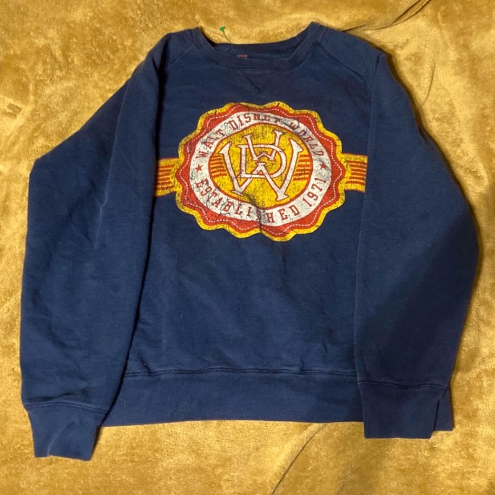AUTHENTIC 1971 Disney Hanes sweatshirt